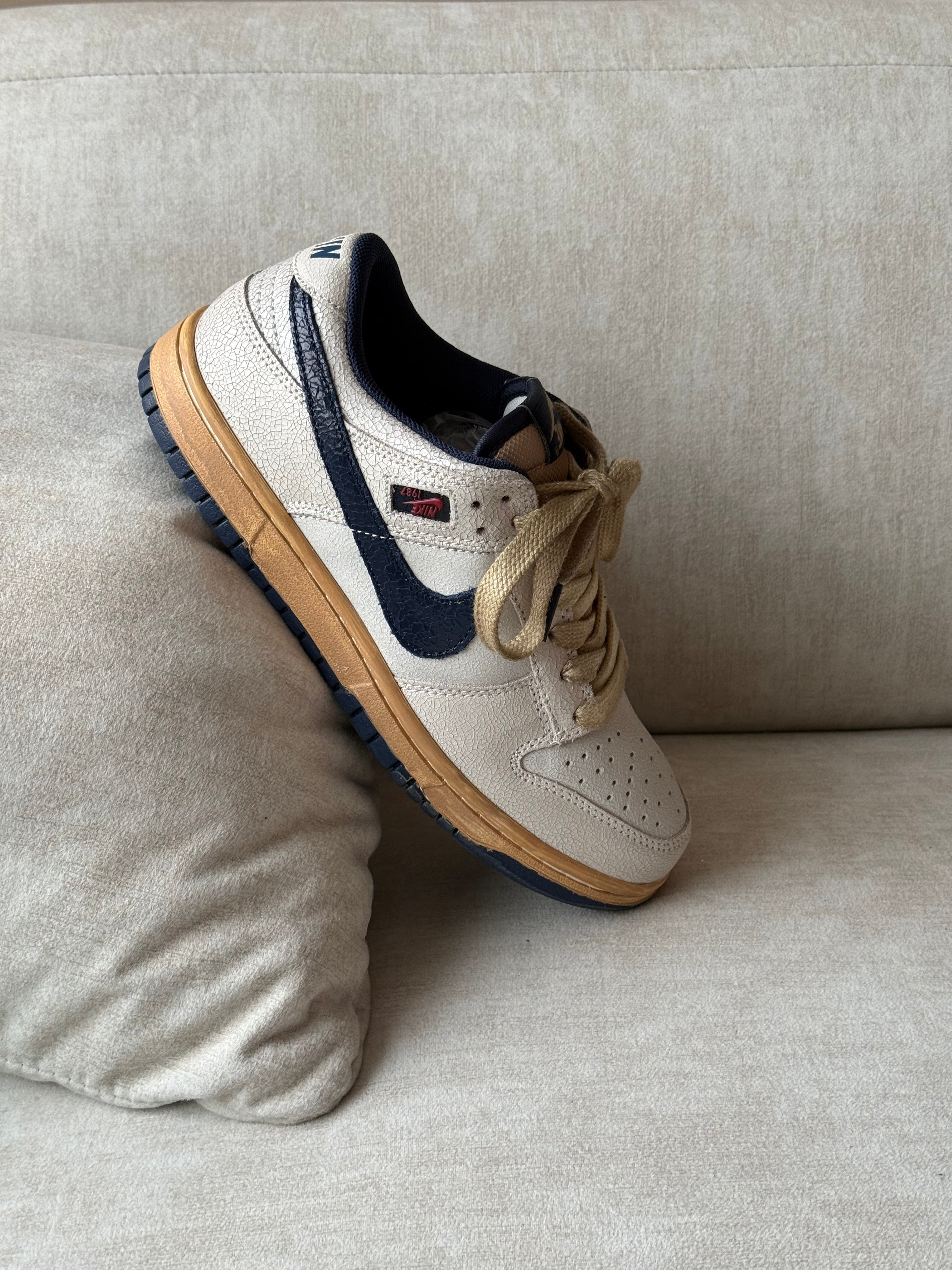 Nike Dunk Low SB x Stranger Things