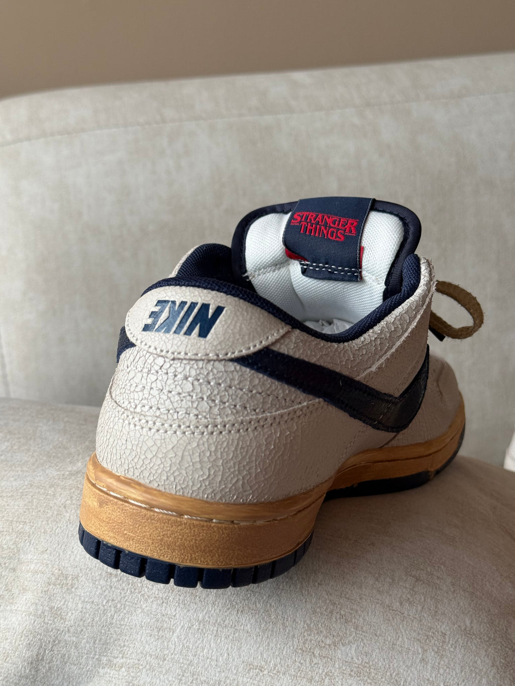 Nike Dunk Low SB x Stranger Things