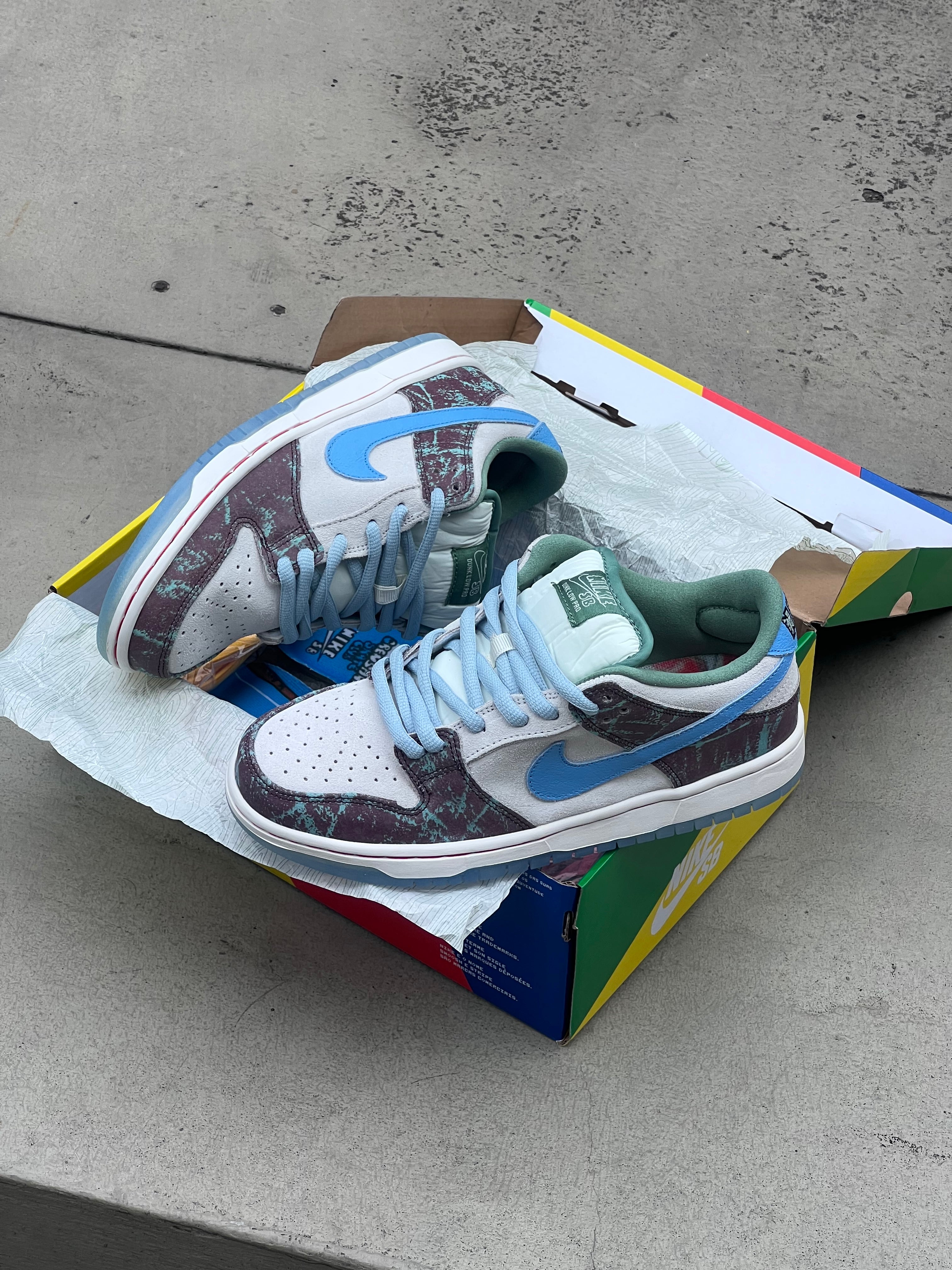 Nike SB dunk low GSC