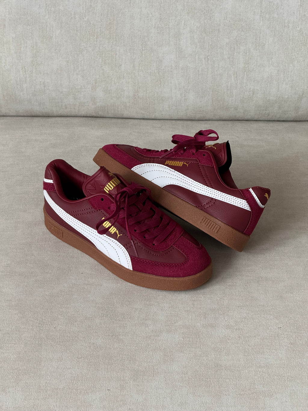 Puma Club “Vinotinto”