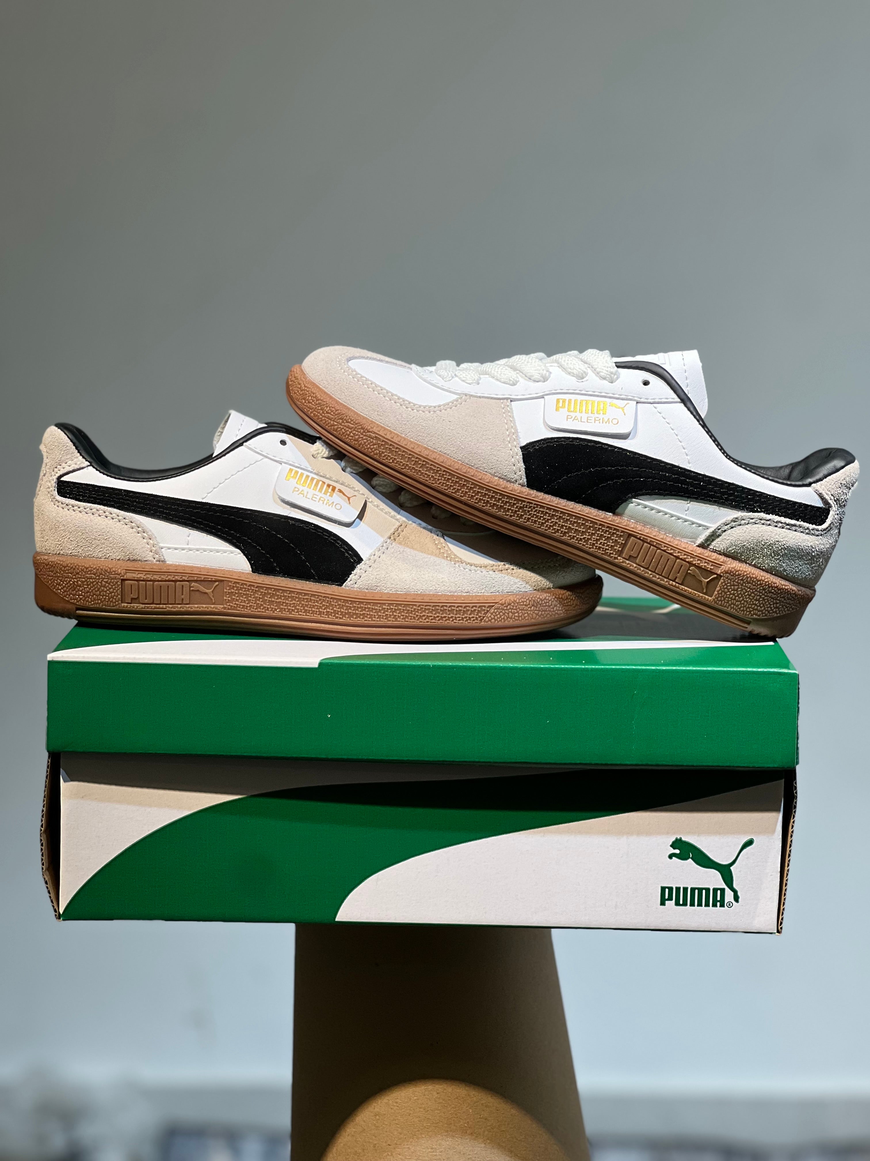 Puma Palermo