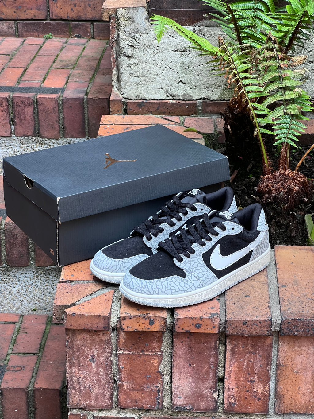 Air jordan retro 1 low Black Cement