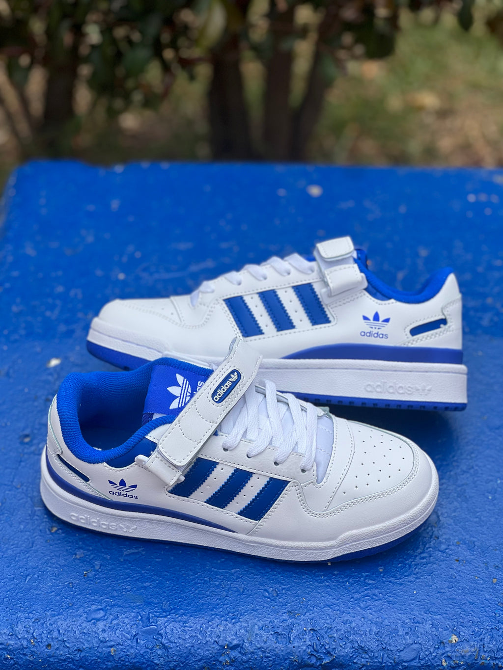 Adidas forum low W/Blue