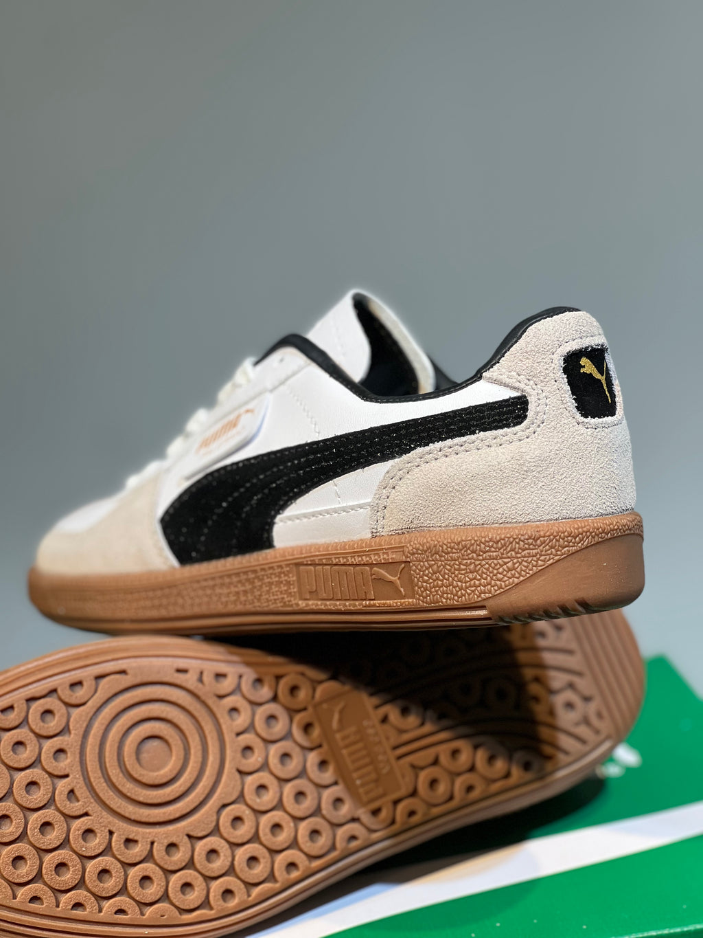 Puma Palermo