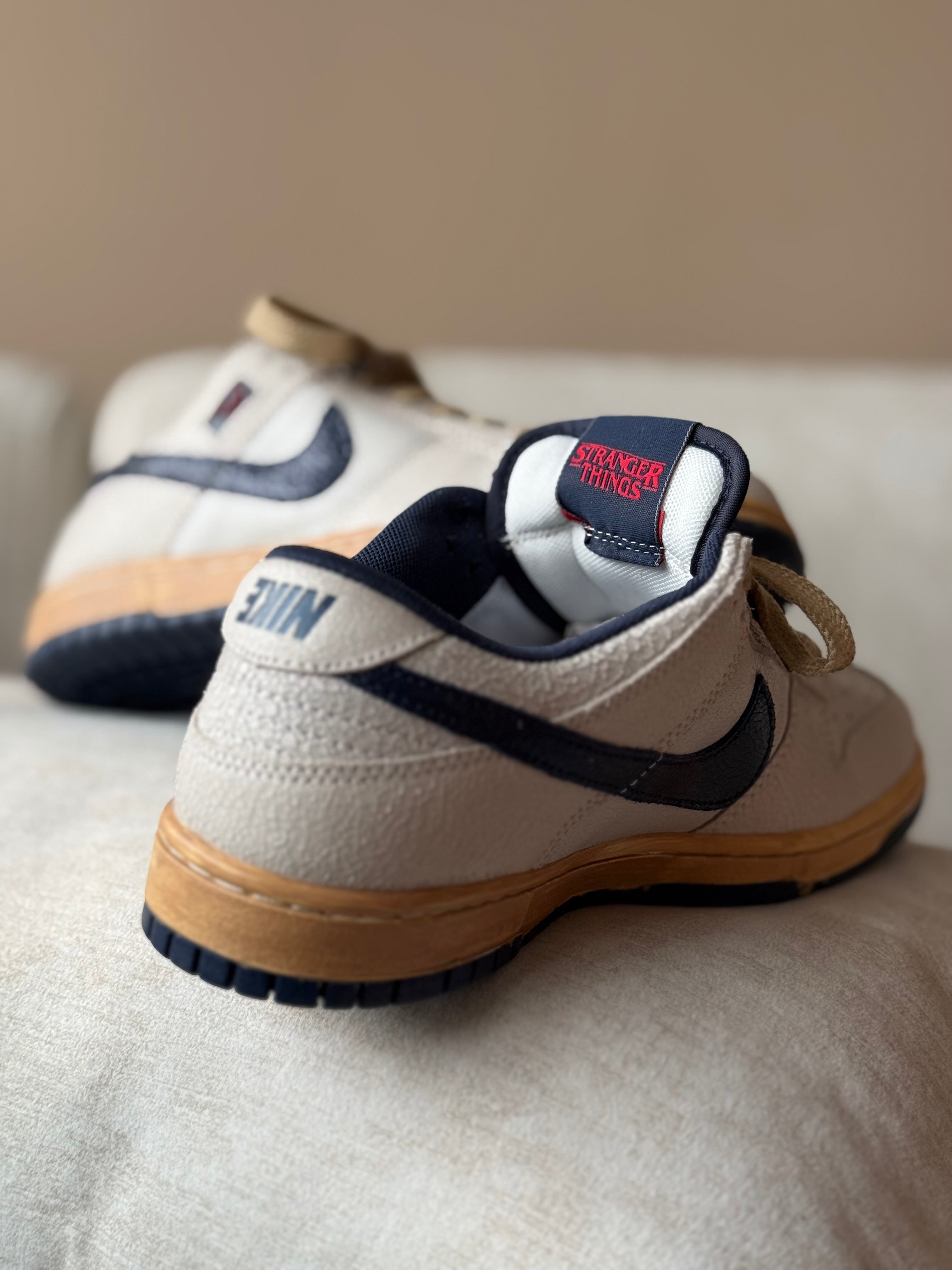 Nike Dunk Low SB x Stranger Things