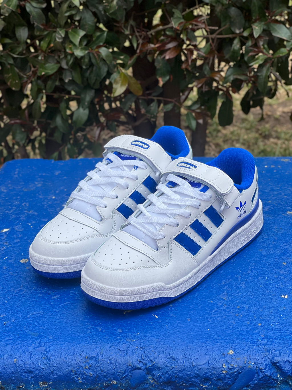 Adidas forum low W/Blue