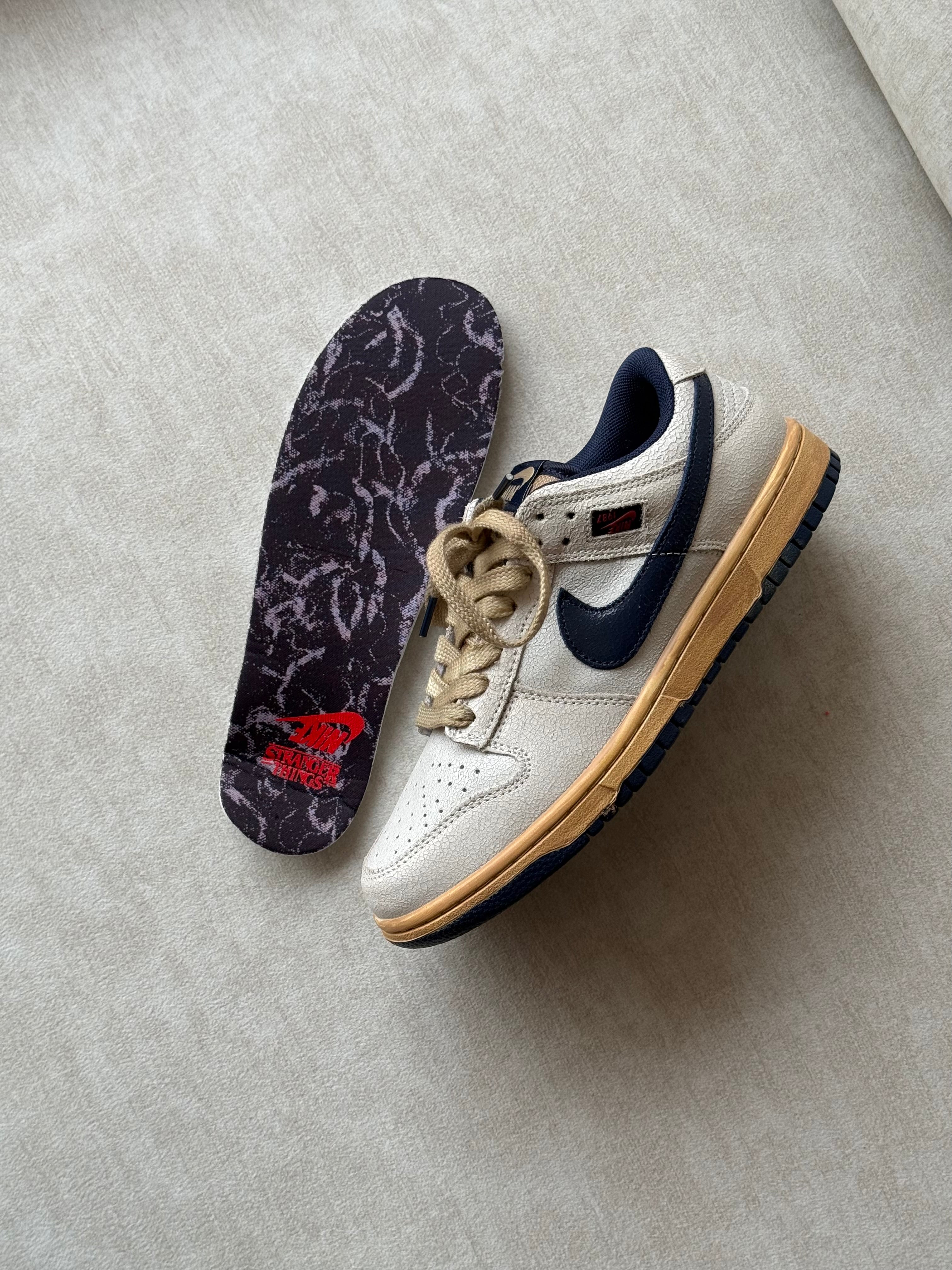 Nike Dunk Low SB x Stranger Things