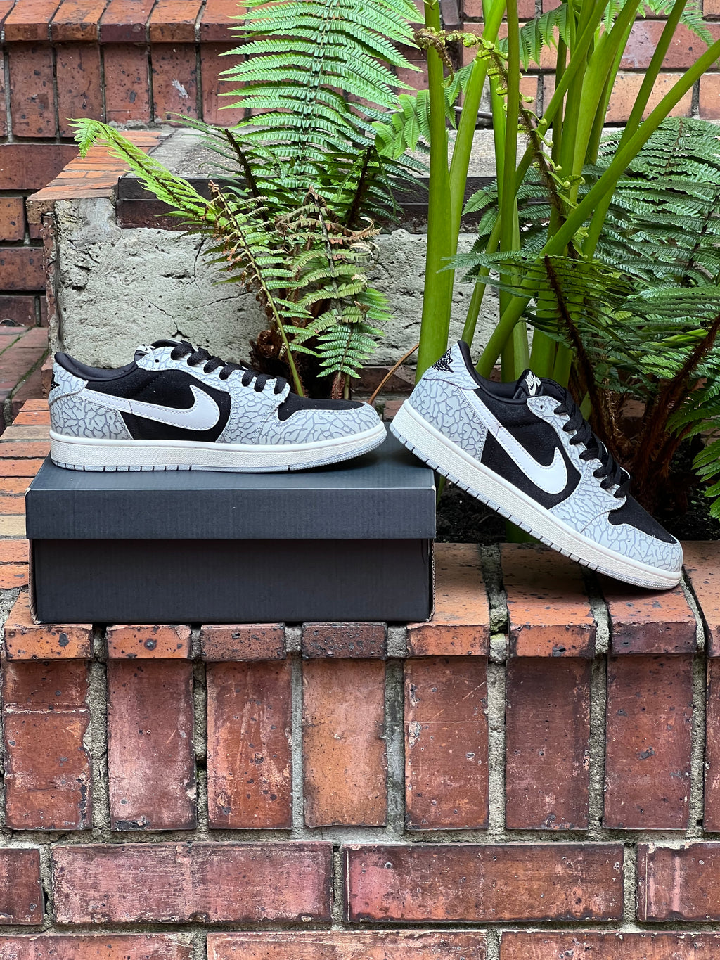 Air jordan retro 1 low Black Cement